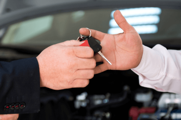 Turnkey Projects Nivs Design Studio